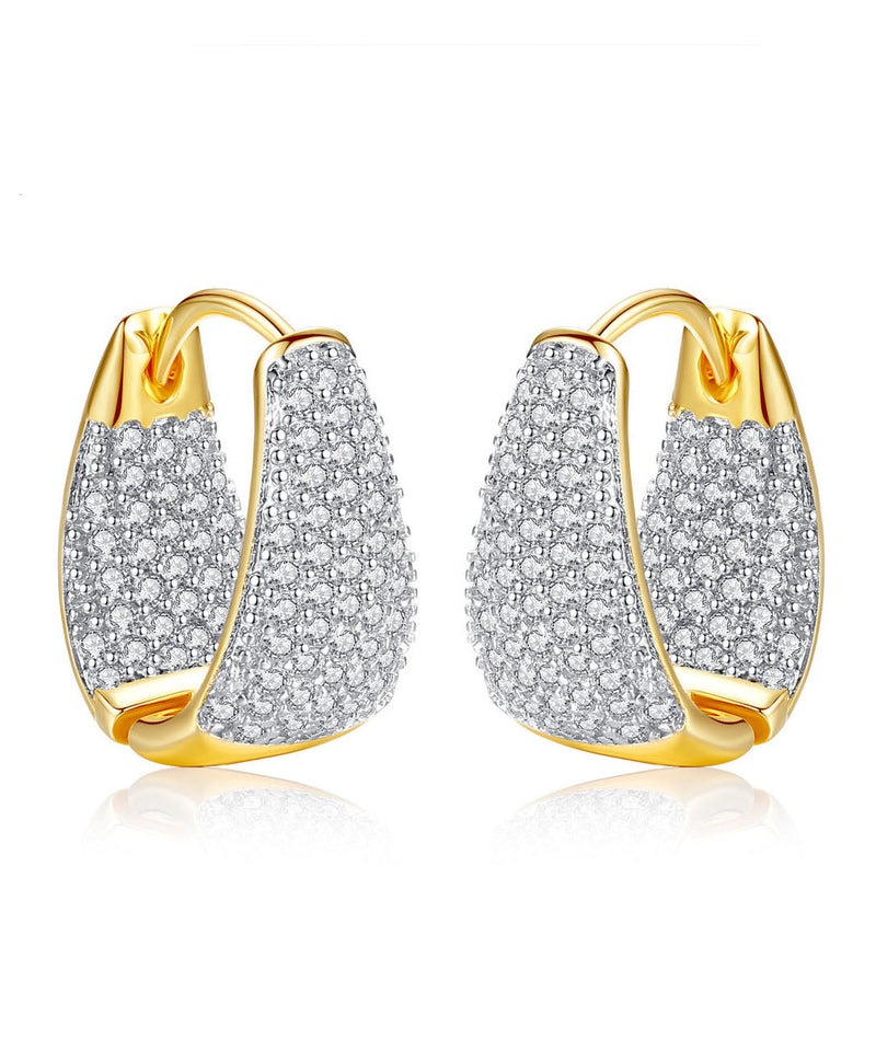 Zircon 14k Gold Hoop Earrings