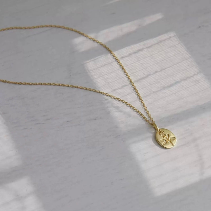 Vicky Rose Coin Necklace in Gold