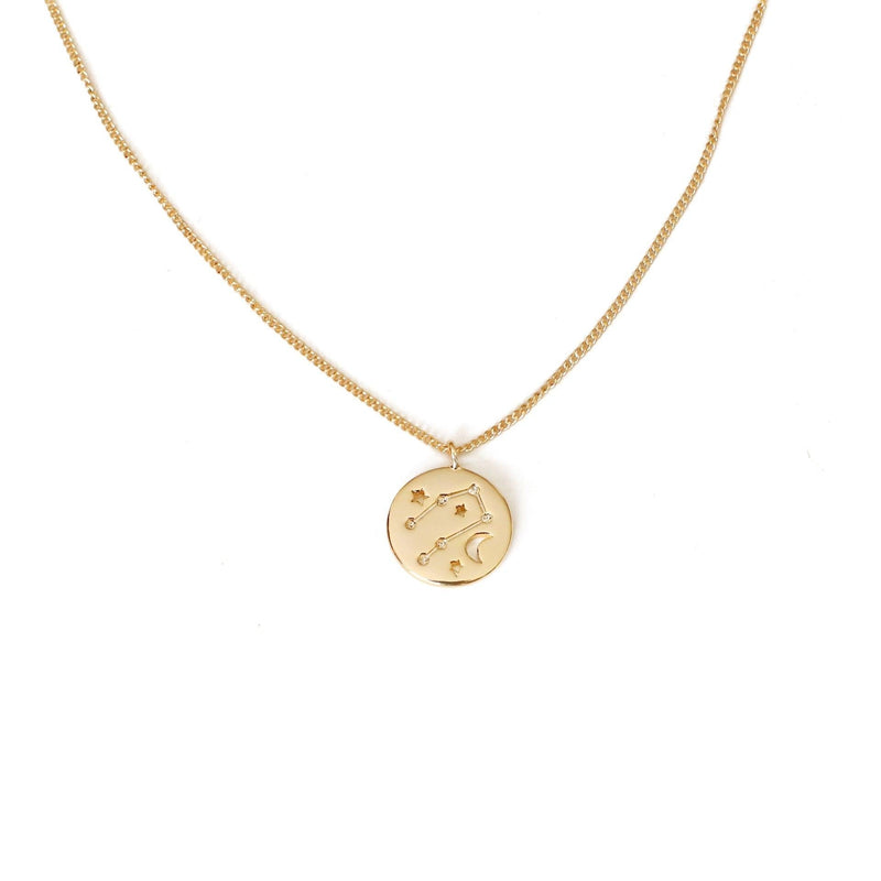 Zodiac Coin Necklace