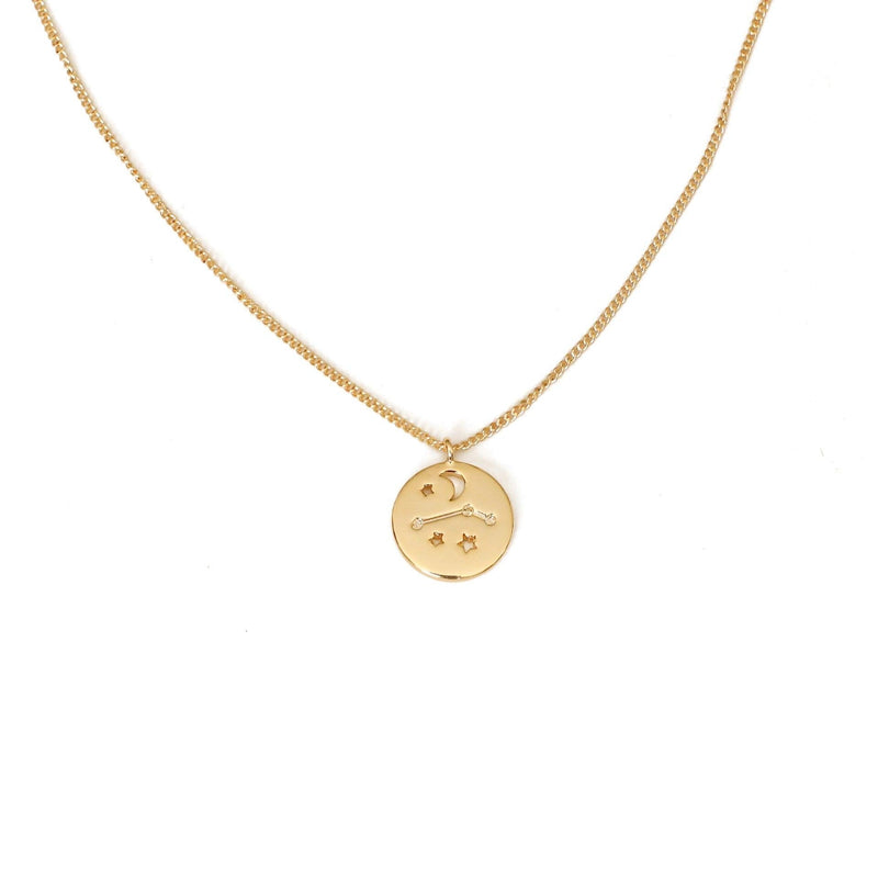 Zodiac Coin Necklace